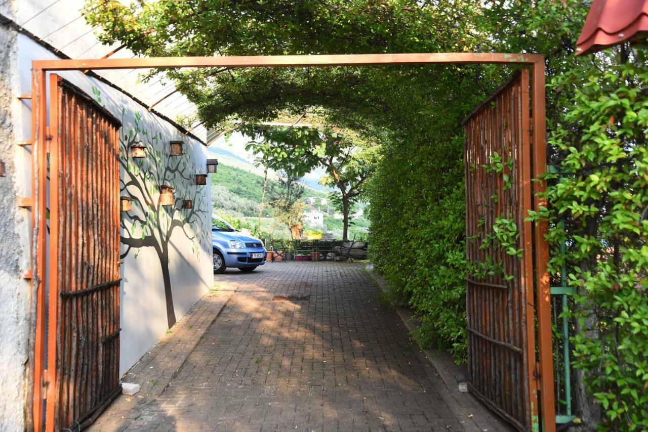 #Ioniahouse Surrel Villa Tirana Exteriör bild