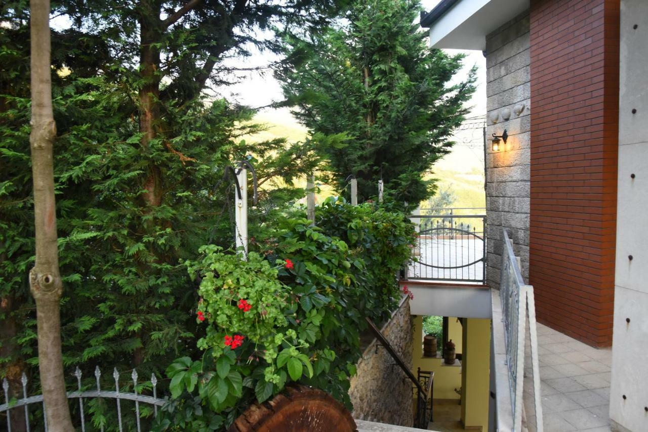 #Ioniahouse Surrel Villa Tirana Exteriör bild